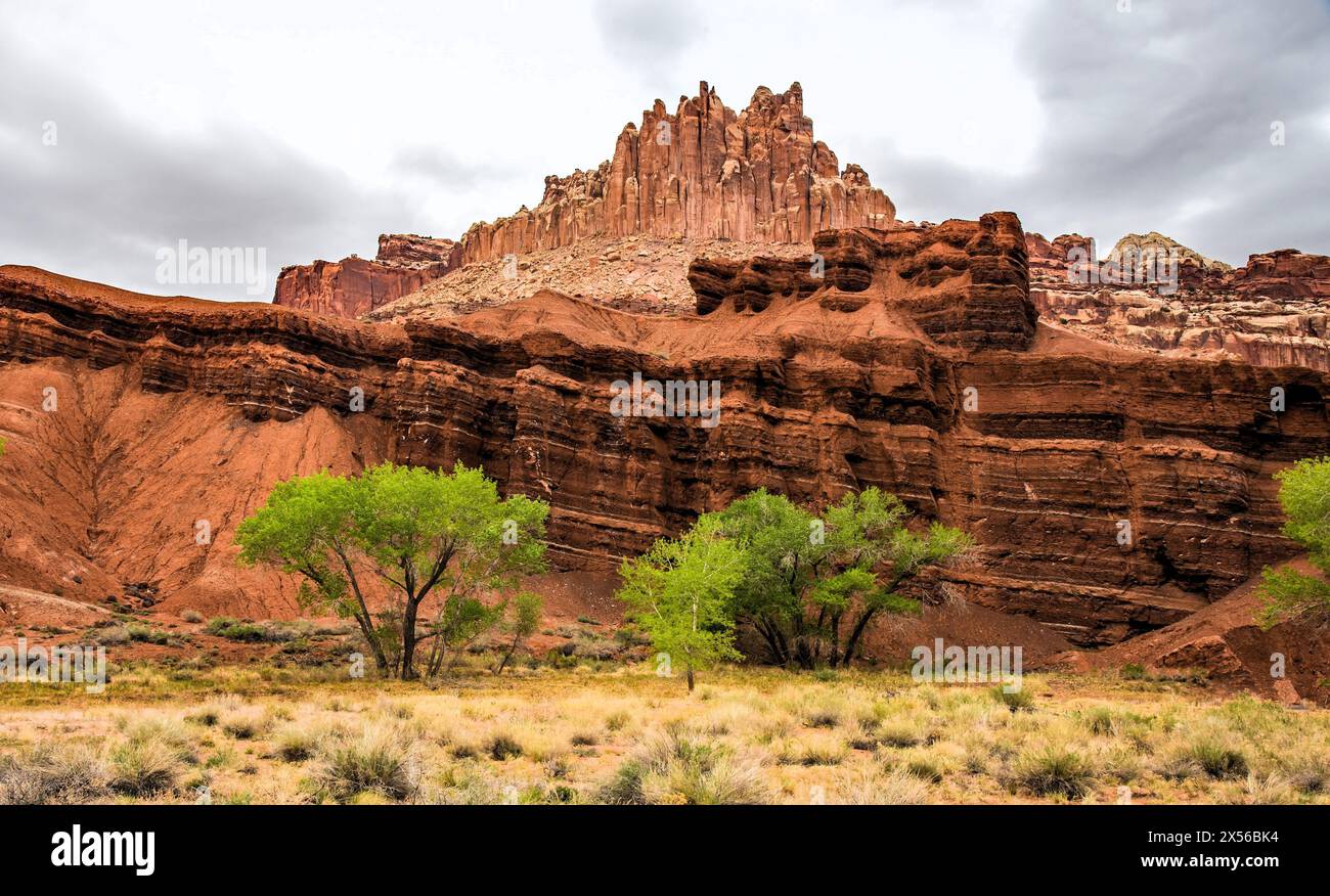 Les merveilles pittoresques du parc national de Capitol Reef dans l'Utah, États-Unis. C'est l'un des cinq parcs nationaux de l'État. Banque D'Images