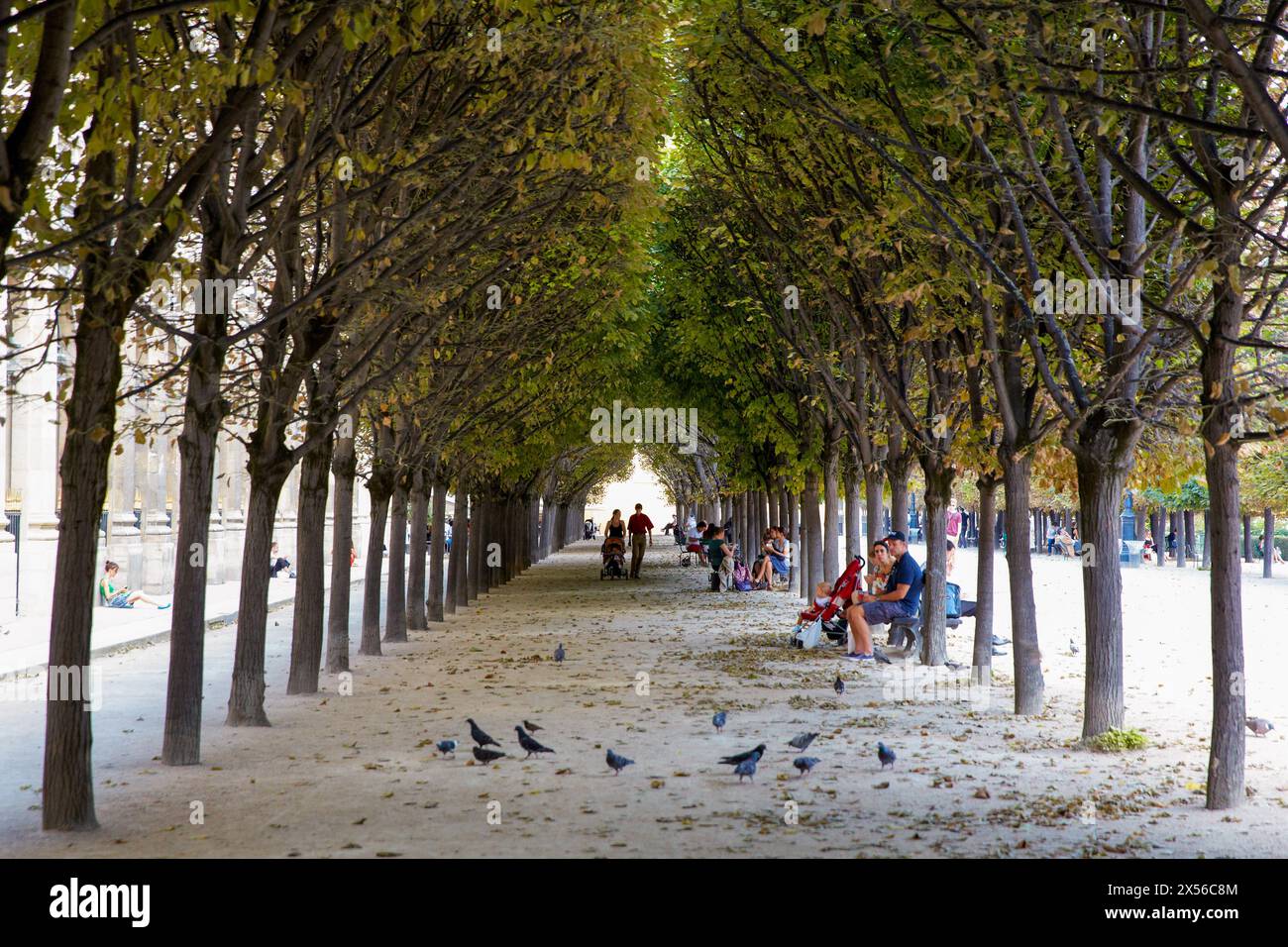 Palais Royale. Paris. La France. Banque D'Images