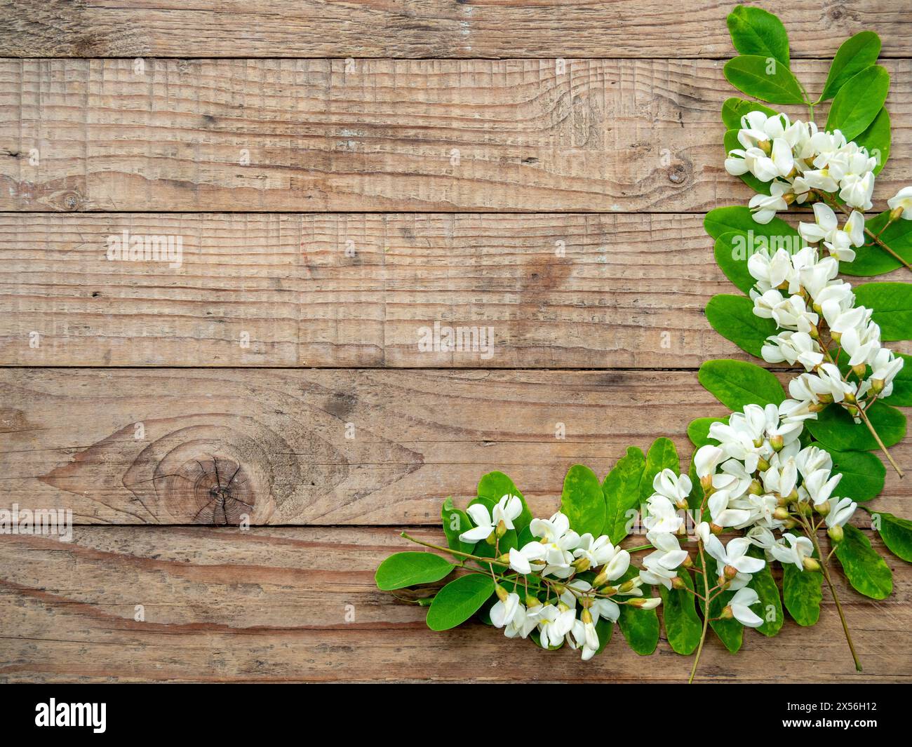 cadre fait de fleurs d'acacia et de feuilles sur fond en bois avec espace de copie Banque D'Images