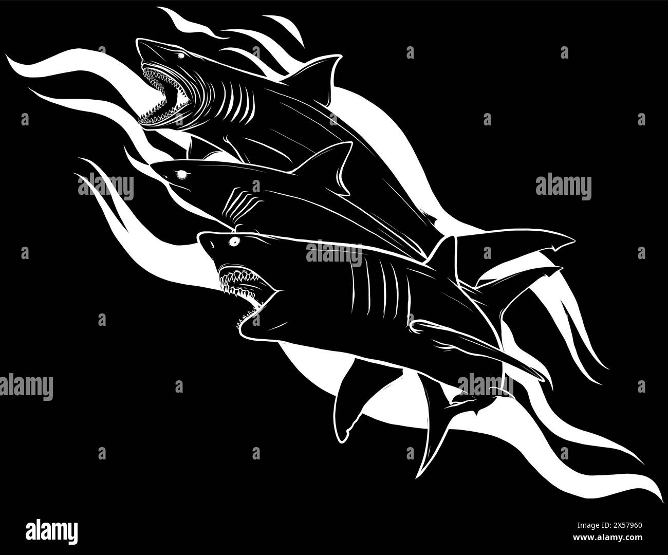 silhouette blanche de requins sur fond noir Illustration de Vecteur