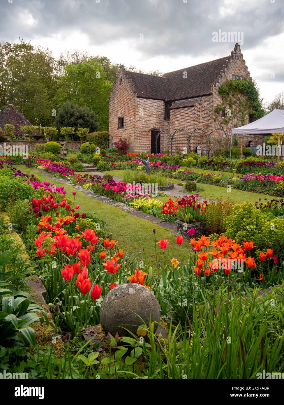 Chenies Manor Sunken Garden vers le Pavillon, ancien bâtiment de la pépinière à Tulip Time. Tulipes oranges, roses et violettes vibrantes dans le jardin en terrasses. Banque D'Images