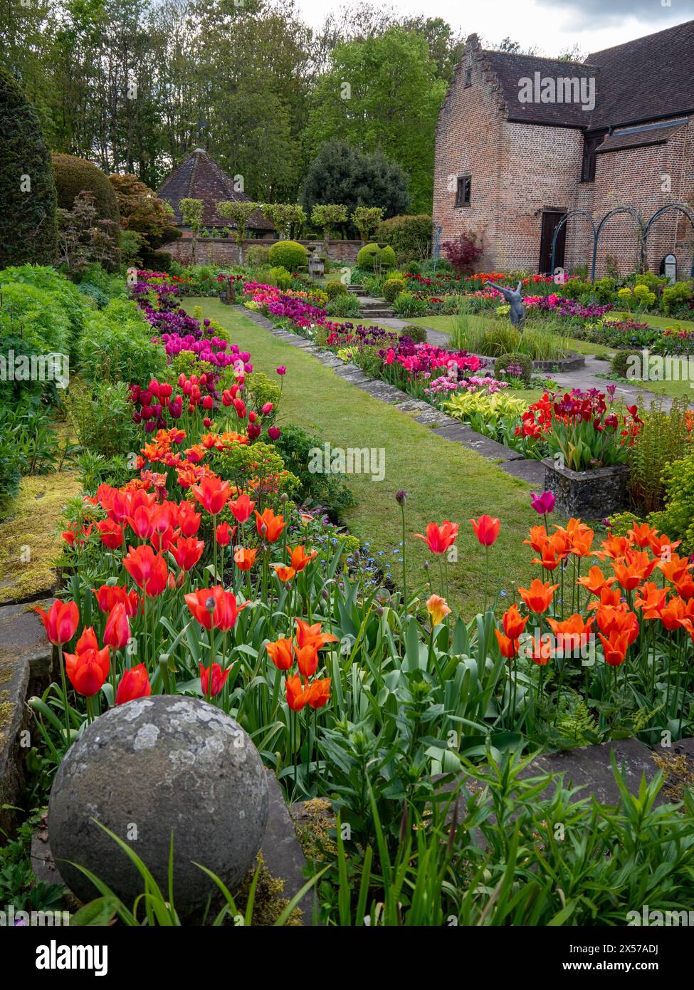 Chenies Manor Sunken Garden vers le Pavillon, ancien bâtiment de la pépinière à Tulip Time. Tulipes oranges, roses et violettes vibrantes dans le jardin en terrasses. Banque D'Images