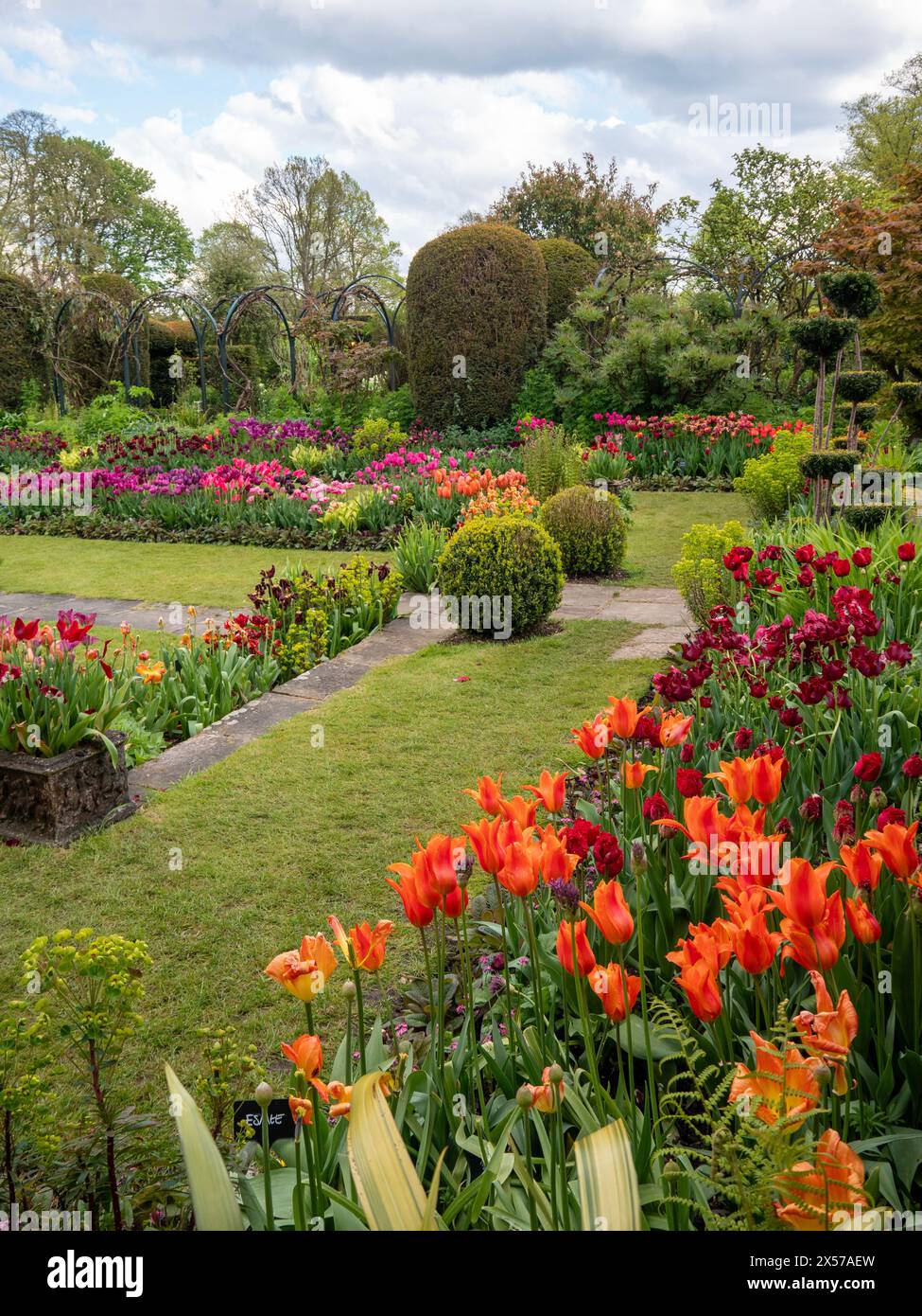 Chenies Manor Sunken Garden à Tulip Time. Banque D'Images