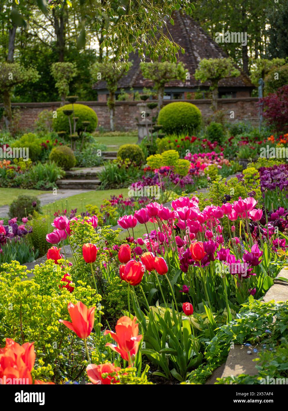 Chenies Manor Sunken Garden à Tulip Time. Banque D'Images