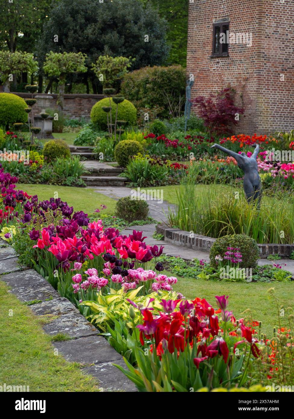 Chenies Manor Sunken Garden à Tulip Time. Tulipa Mariette, Hosta fraîche, chemin et étang ornemental. Banque D'Images