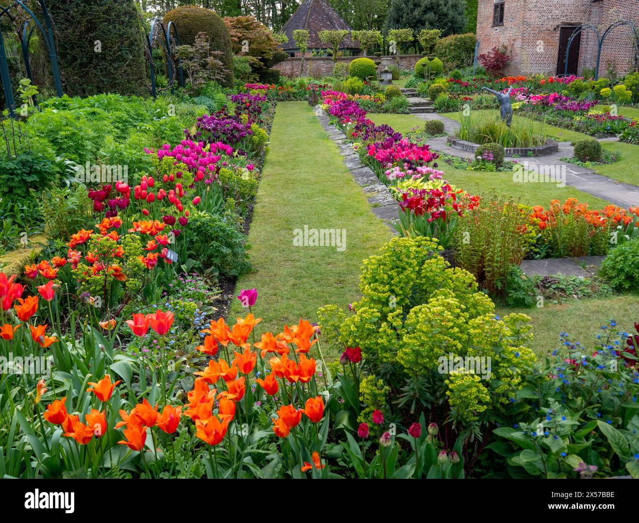 Chenies Manor jardin encastré avec tulipes colorées en pleine floraison. Fleurs oranges, roses, violettes en fin d'après-midi soleil. Banque D'Images