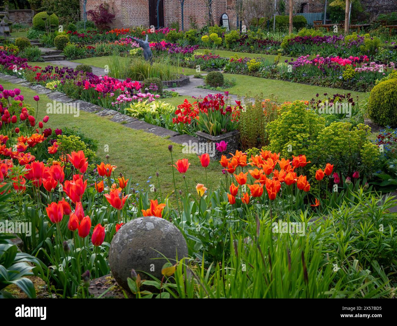 Chenies Manor jardin encastré avec tulipes colorées en pleine floraison. Fleurs oranges, roses, violettes en fin d'après-midi soleil. Banque D'Images