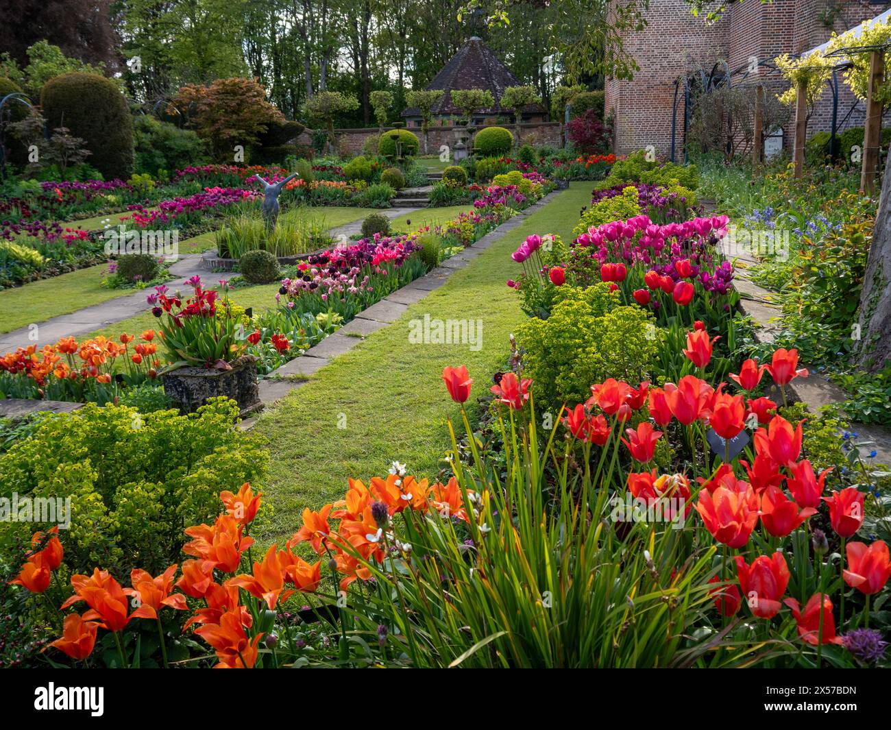 Chenies Manor jardin encastré avec tulipes colorées en pleine floraison. Fleurs oranges, roses, violettes en fin d'après-midi soleil. Banque D'Images