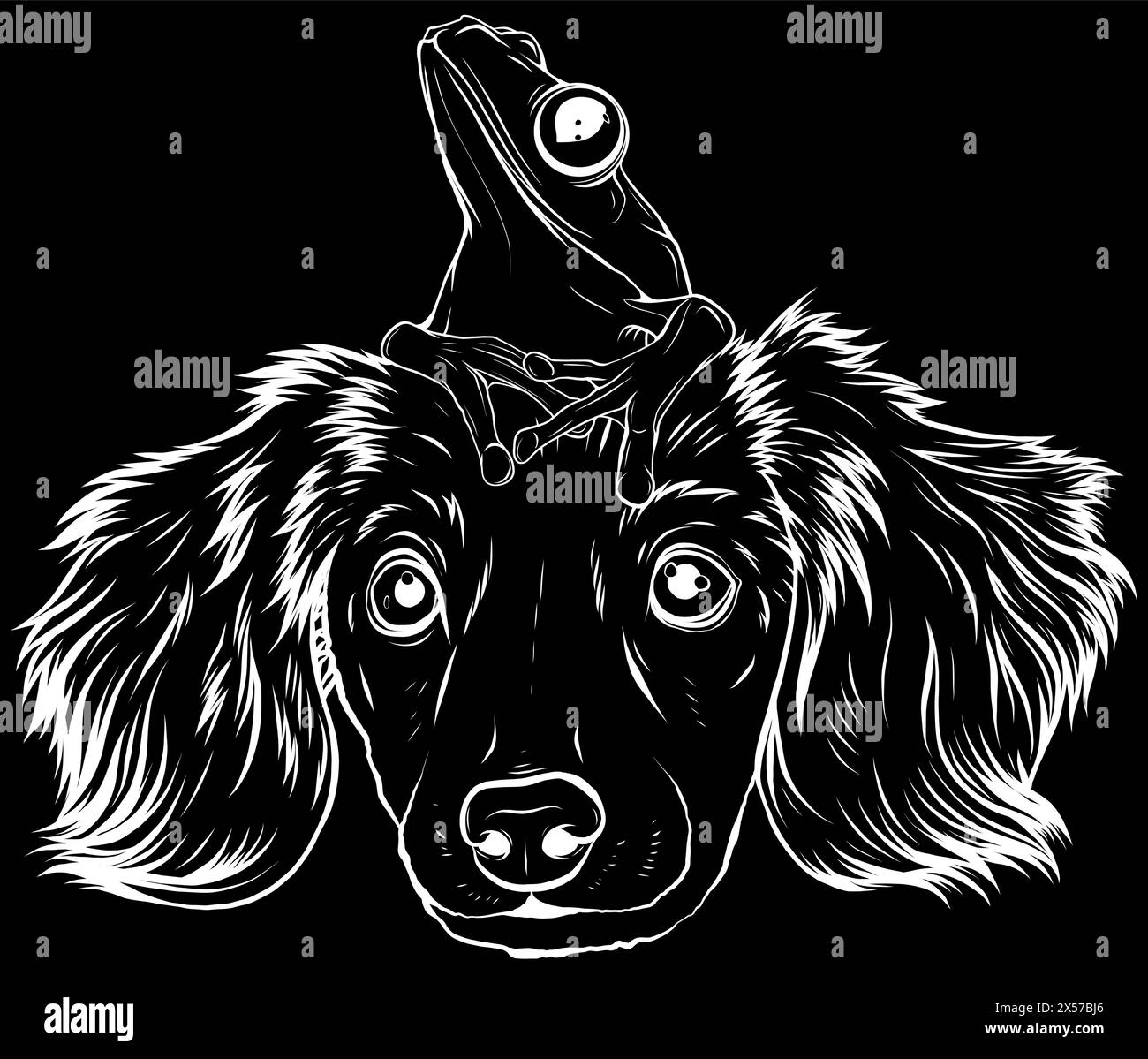 silhouette blanche de dessin animé de chien et de grenouille sur fond noir Illustration de Vecteur