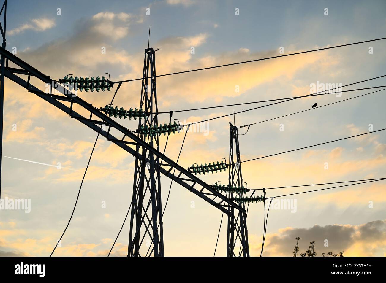 Poteaux électriques et lignes électriques au coucher du soleil. Transmission d'énergie électrique. Pylône électrique haute tension et lignes électriques. Statio de puissance électrique Banque D'Images