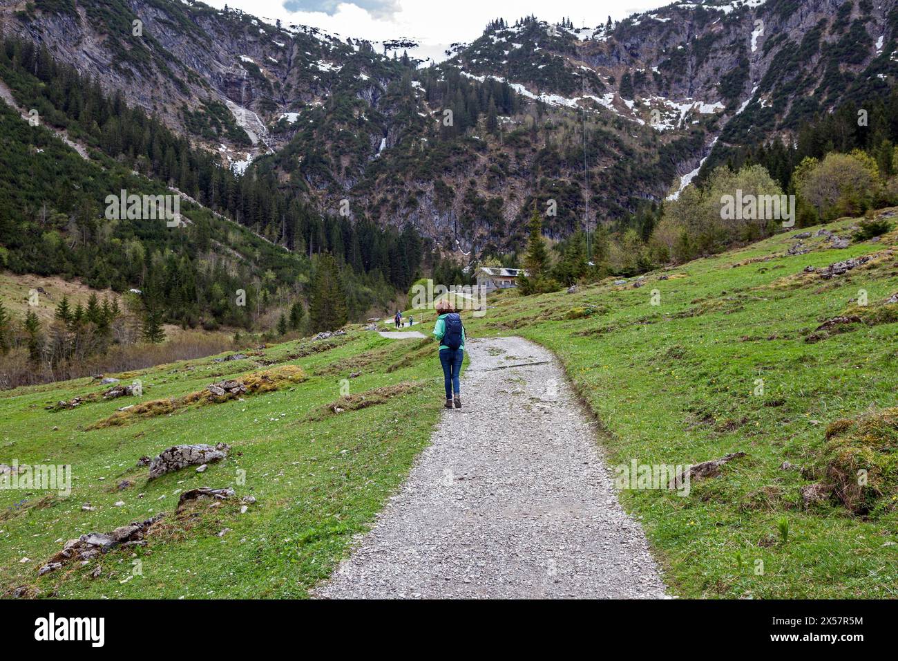 Sentier de randonnée à travers des prairies verdoyantes, derrière Hintere Gemstel-Huette, Gemsteltal, Mittelberg, Kleinwalsertal, Vorarlberg, Alpes d'Allgaeu, Autriche Banque D'Images
