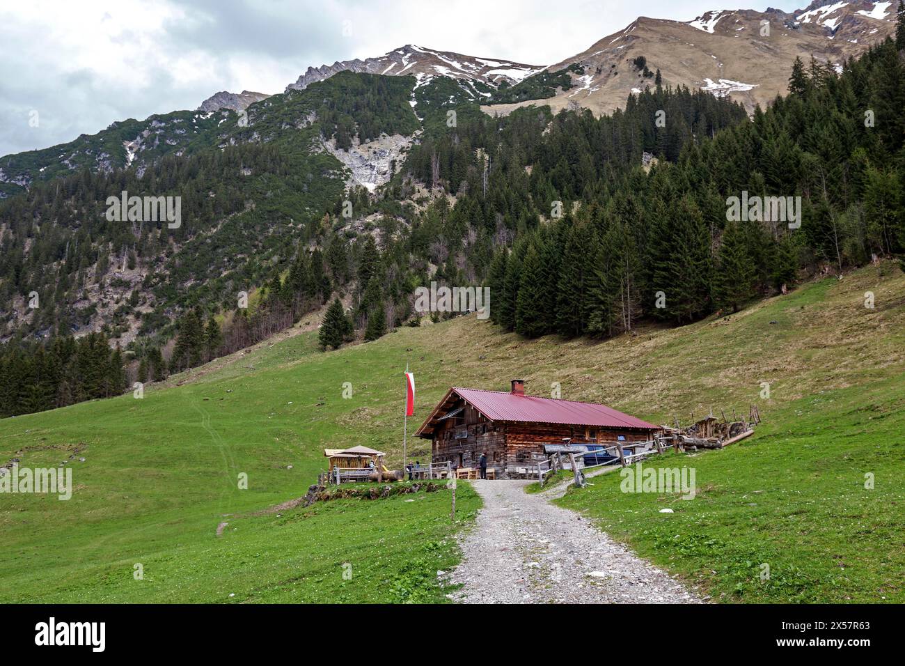 Naturalpe Gemstel-Schoenesboden-Alpe, Gemsteltal, Mittelberg, Kleinwalsertal, Vorarlberg, Allgaeu Alpes, Autriche Banque D'Images