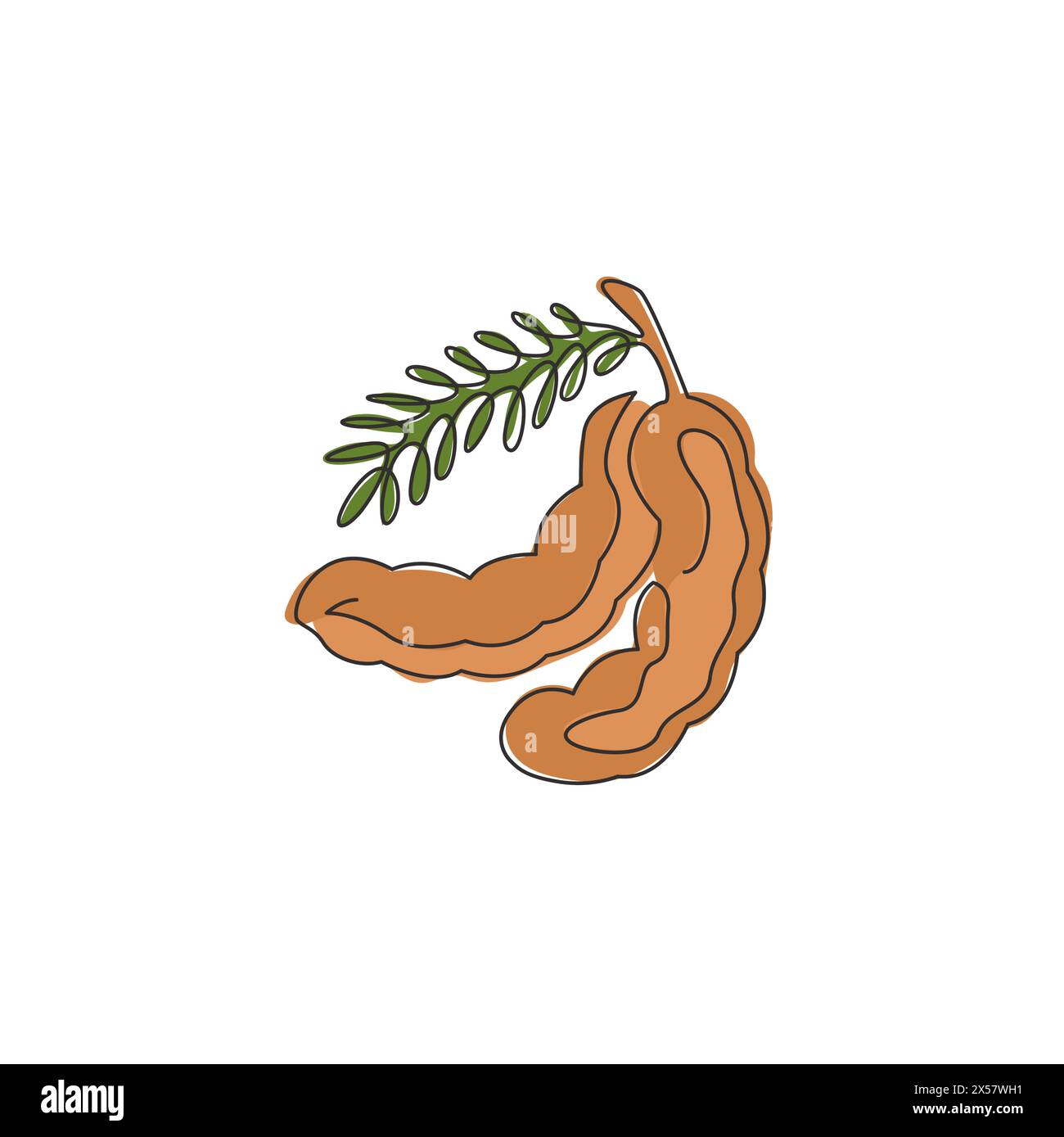 Un dessin en ligne continue de tamarin organique sain entier pour l'identité du logo du verger. Concept de fruitage frais pour icône de jardin de fruits. Moderne simple l Illustration de Vecteur