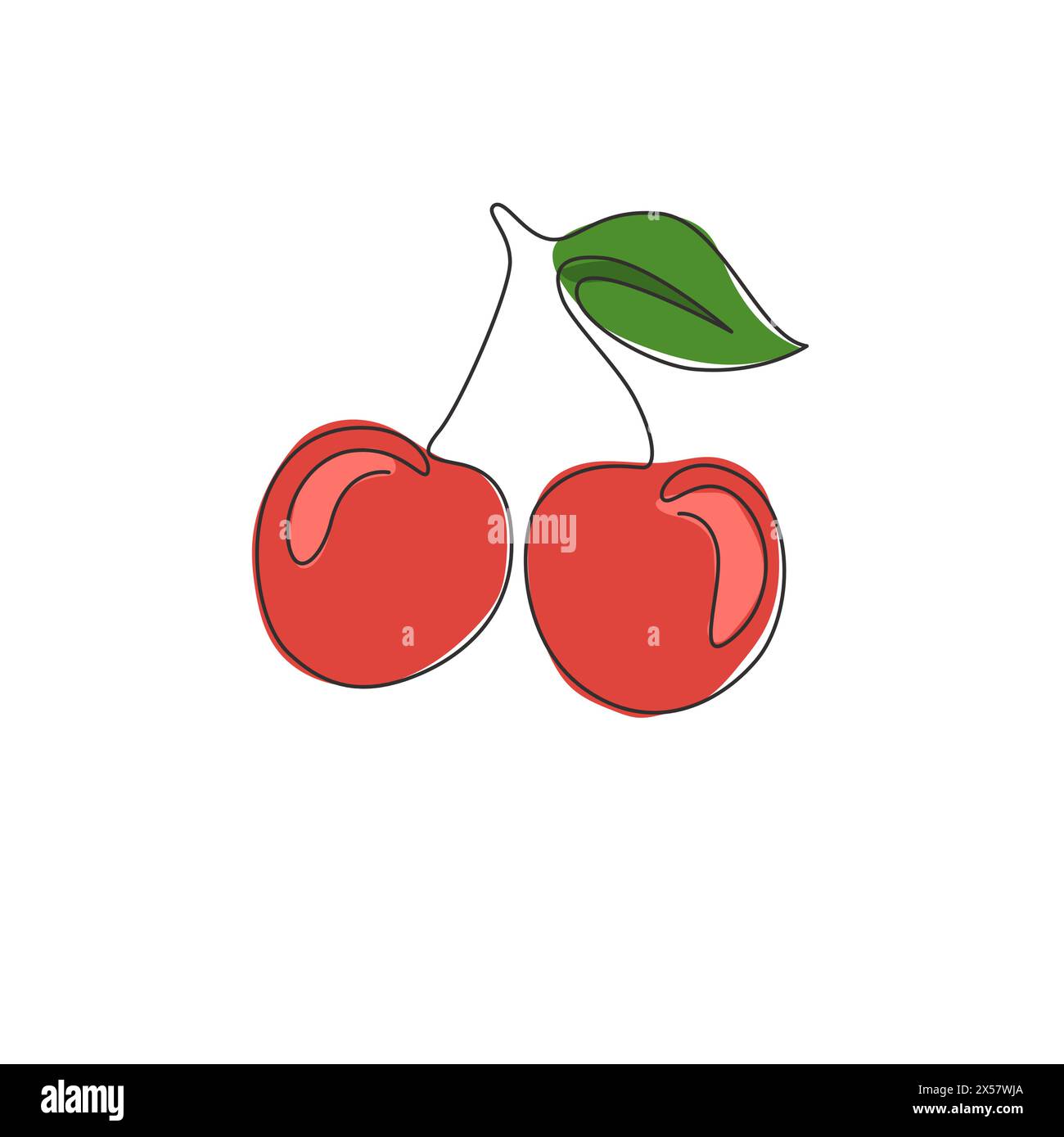 Un dessin en ligne continue de cerises biologiques saines entières pour l'identité du logo du verger. Concept de fruitage frais pour icône de jardin de fruits. Moderne simple l Illustration de Vecteur