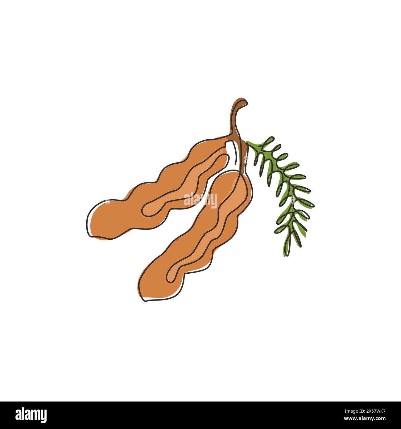 Dessin de ligne continue unique de tamarin organique sain entier pour l'identité de logo de verger. Concept de fruitage frais pour icône de jardin de fruits. Moderne un l Illustration de Vecteur