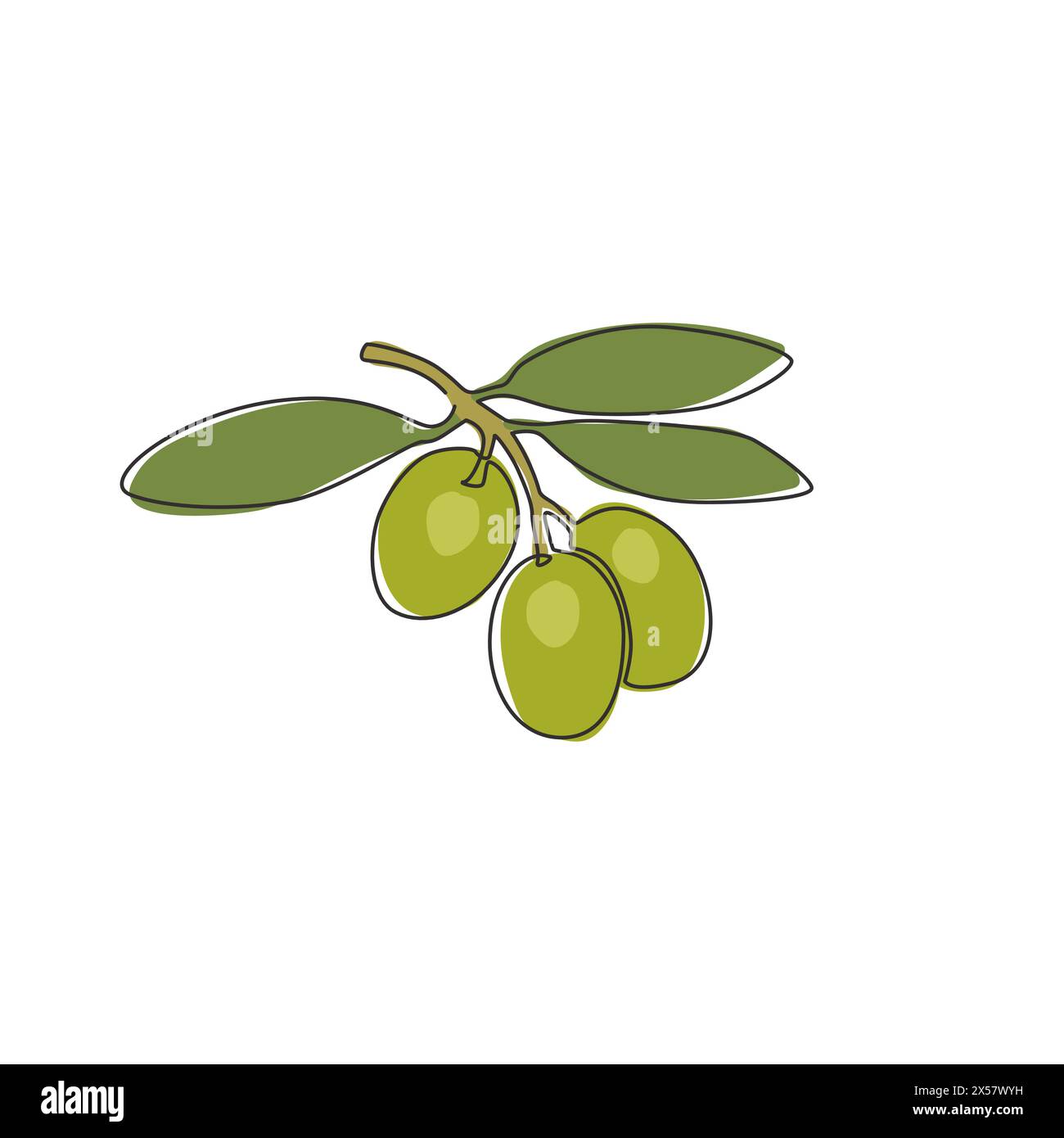 Un dessin simple ligne de fruit d'olive biologique sain en tas pour l'identité du logo de jardin. Concept d'ingrédients de base frais pour l'icône de fruit. Continu moderne Illustration de Vecteur