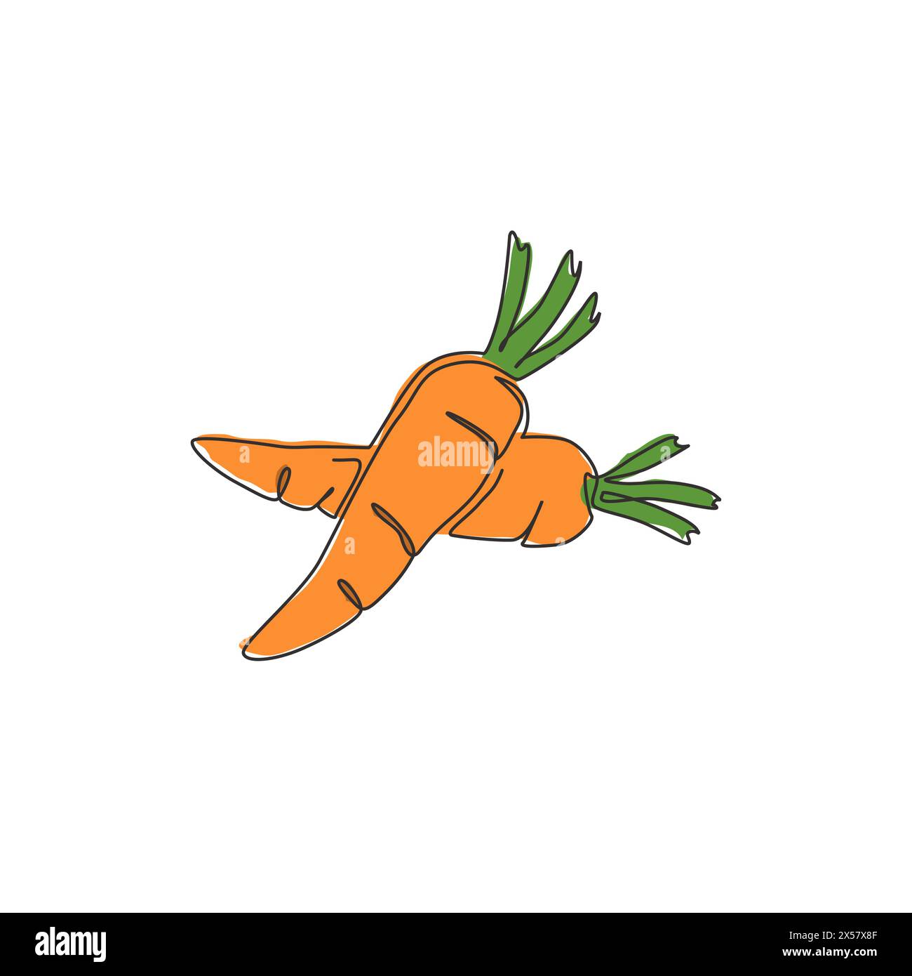 Ligne continue unique dessinant un tas entier de carottes biologiques saines pour l'identité du logo de la ferme. Concept de plante biennale fraîche pour icône de légume racine. Moderne Illustration de Vecteur