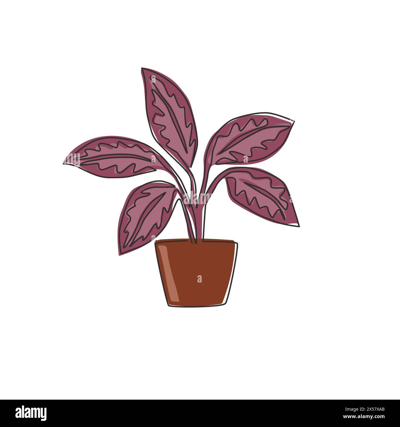 Une seule ligne dessinant une jolie plante aglaonema tropicale en pot. Concept de plante d'intérieur décorative imprimable pour ornement de décoration murale à la maison. Contin moderne Illustration de Vecteur