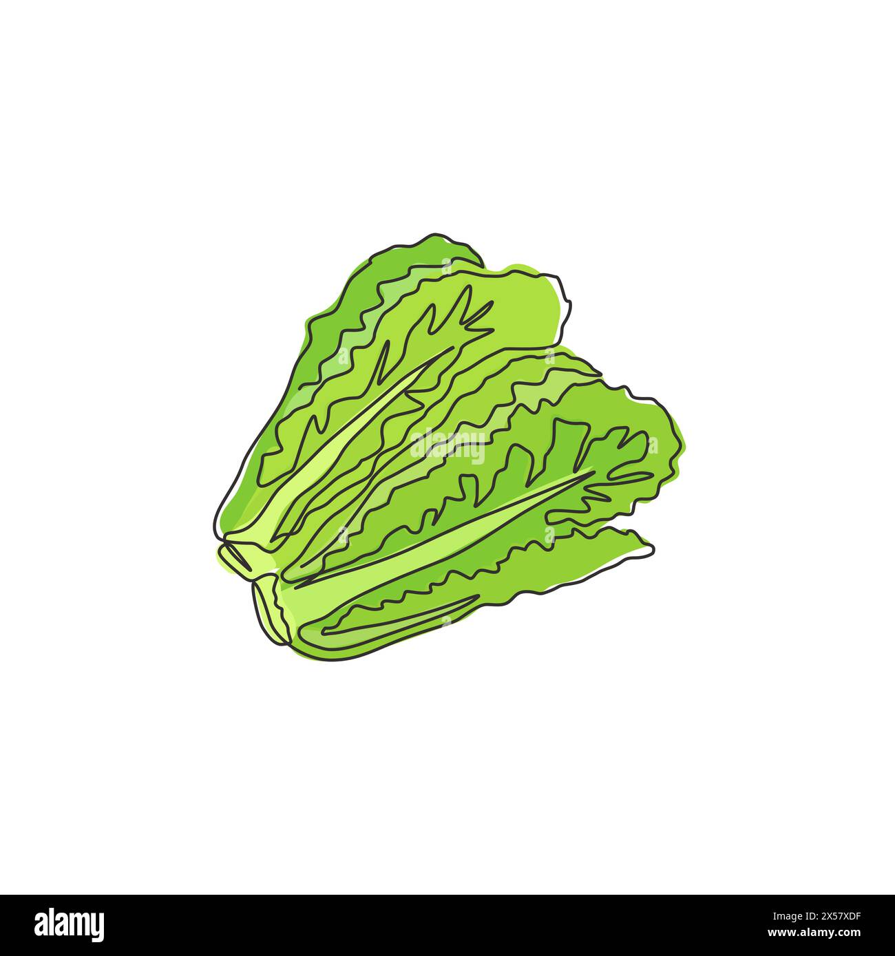 Une seule ligne dessinant des feuilles de laitue verte biologique saines pour l'identité du logo de la ferme. Concept d'ingrédient de salade frais pour icône végétale. Continue moderne Illustration de Vecteur