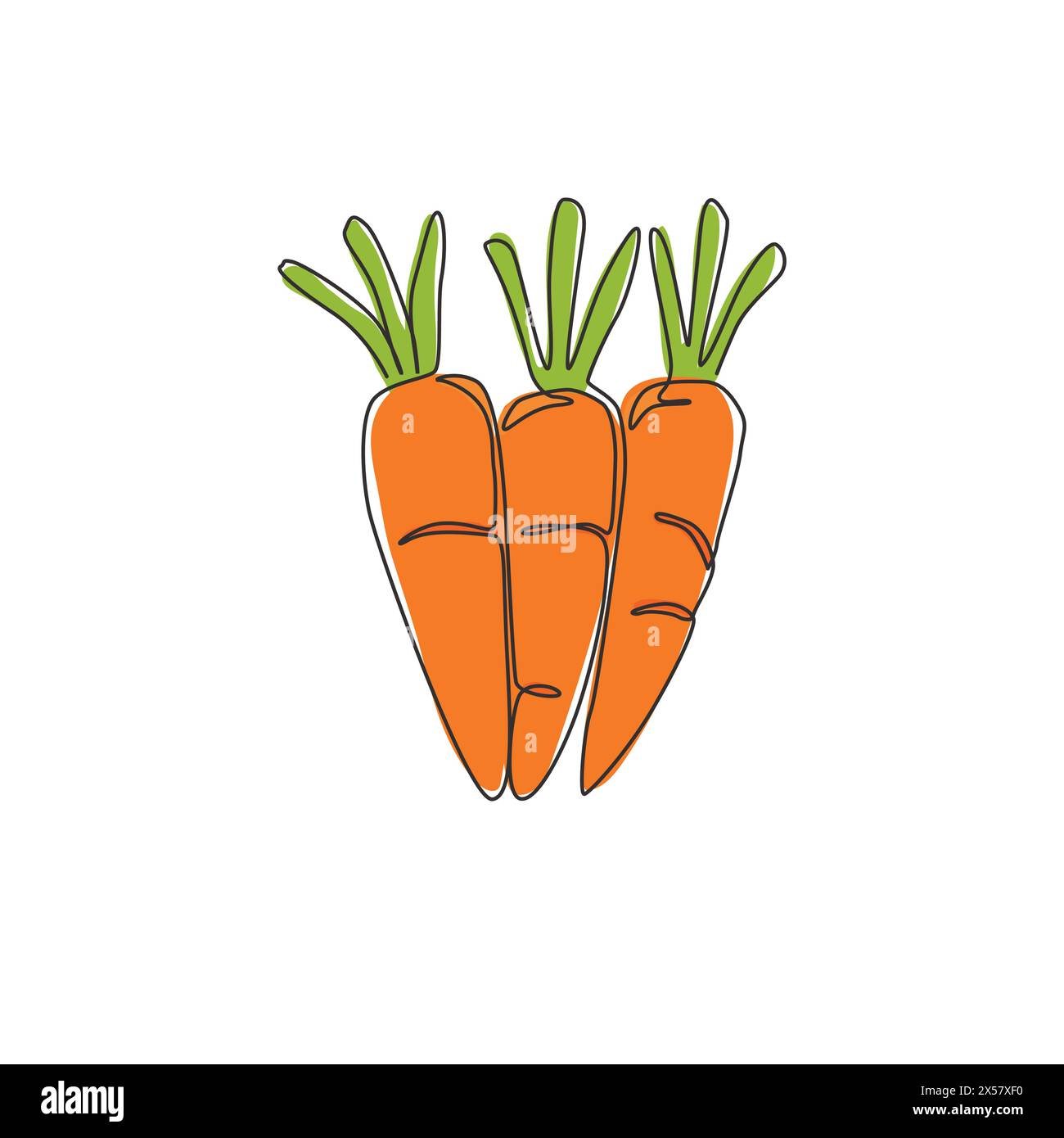 Une seule ligne dessinant des tas entiers de carottes biologiques sains pour l'identité du logo de la ferme. Concept de plante biennale fraîche pour icône de légume racine. Contin moderne Illustration de Vecteur