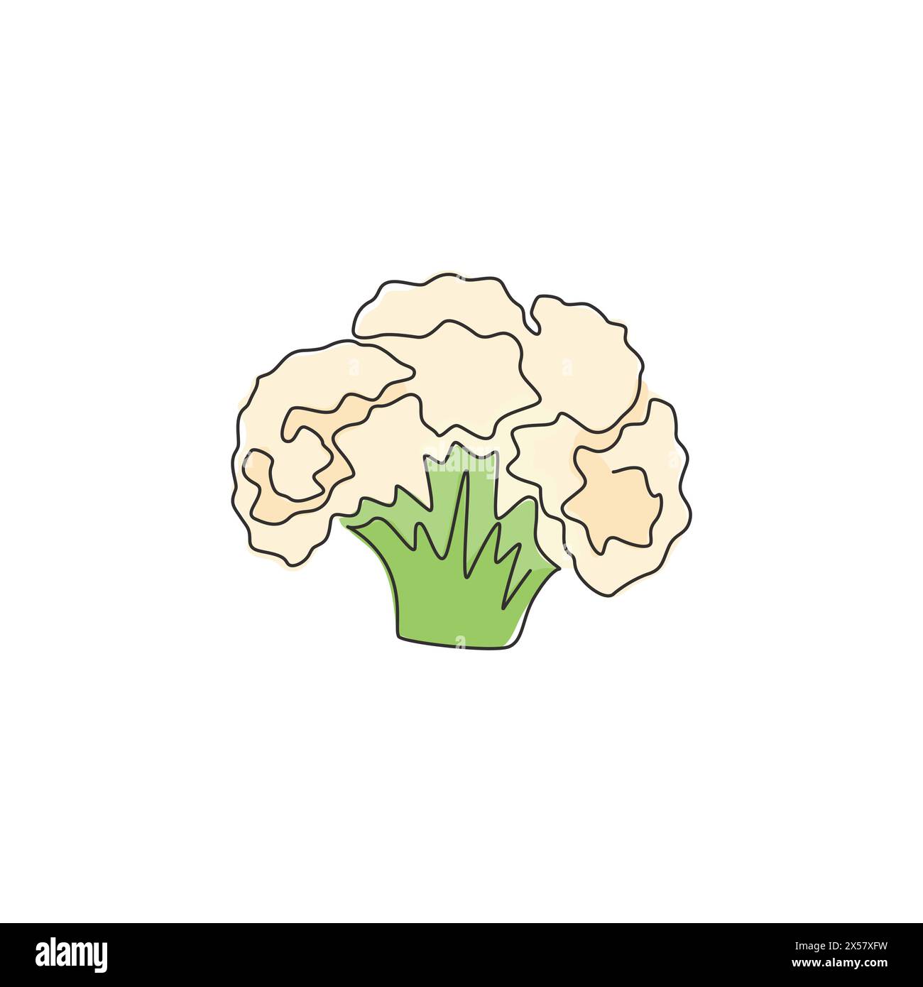 Un dessin simple ligne de chou-fleur biologique sain entier pour l'identité du logo de la ferme. Concept frais de Brassica oleracea pour icône végétale. Contin moderne Illustration de Vecteur