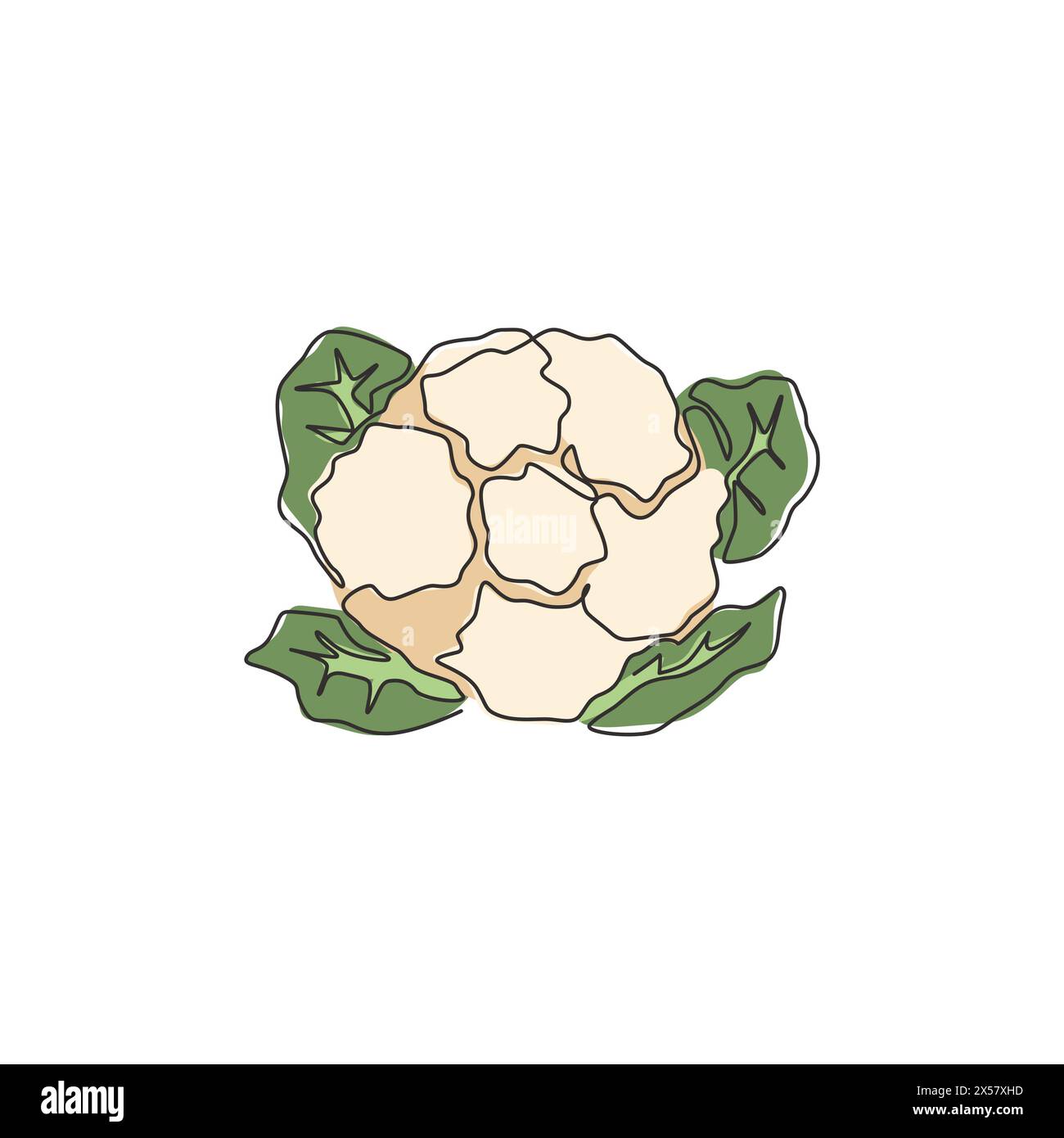 Dessin de ligne continue unique de chou-fleur biologique sain entier pour l'identité du logo de la ferme. Concept frais de Brassica oleracea pour icône végétale. Moderne Illustration de Vecteur