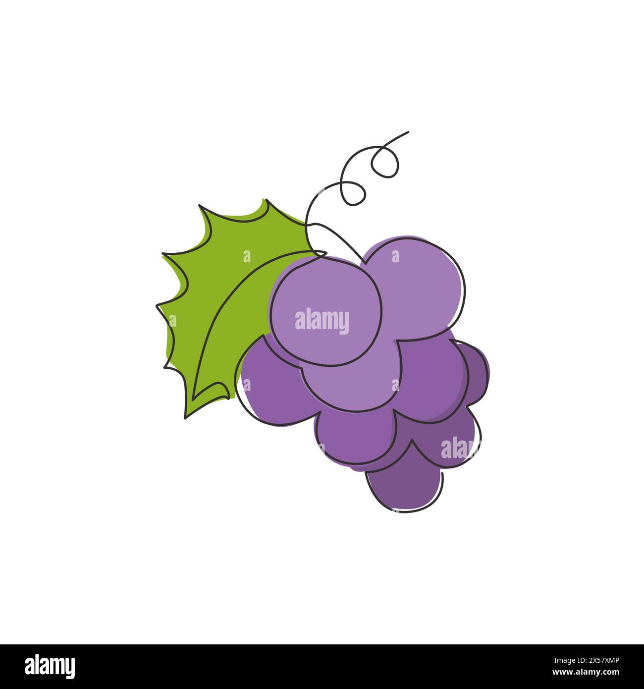 Une seule ligne dessinant raisin biologique sain pour l'identité du logo du vignoble. Concept de fruitage tropical frais pour icône de jardin de verger de fruits. Contin moderne Illustration de Vecteur