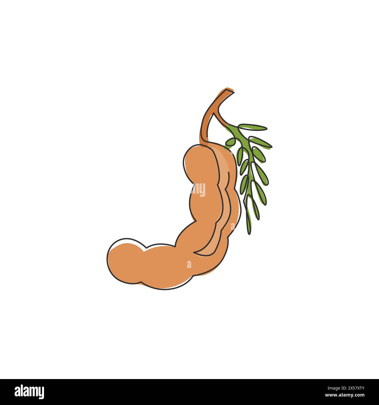 Un dessin simple ligne de tamarin organique sain entier pour l'identité du logo du verger. Concept de fruitage frais pour icône de jardin de fruits. Moderne continu l Illustration de Vecteur