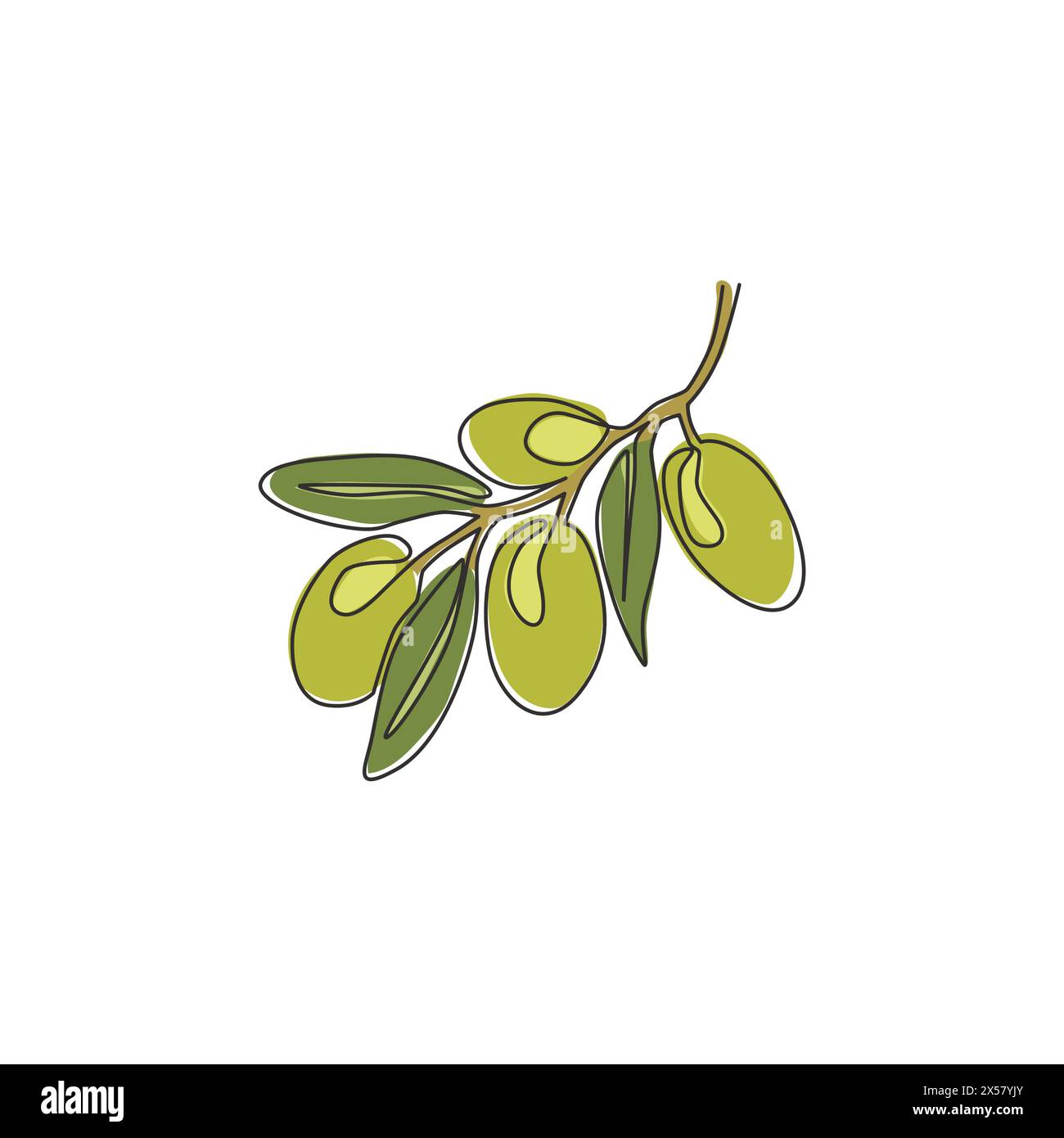 Dessin de ligne continue unique de fruit d'olive biologique sain de pile pour l'identité de logo de verger. Concept d'ingrédients de base frais pour l'icône de fruit. Moderne Illustration de Vecteur