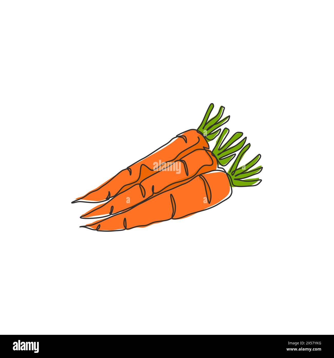 Une ligne continue dessinant un groupe entier de carottes biologiques saines pour l'identité du logo de la ferme. Concept de plante biennale fraîche pour icône de légume racine. S modernes Illustration de Vecteur