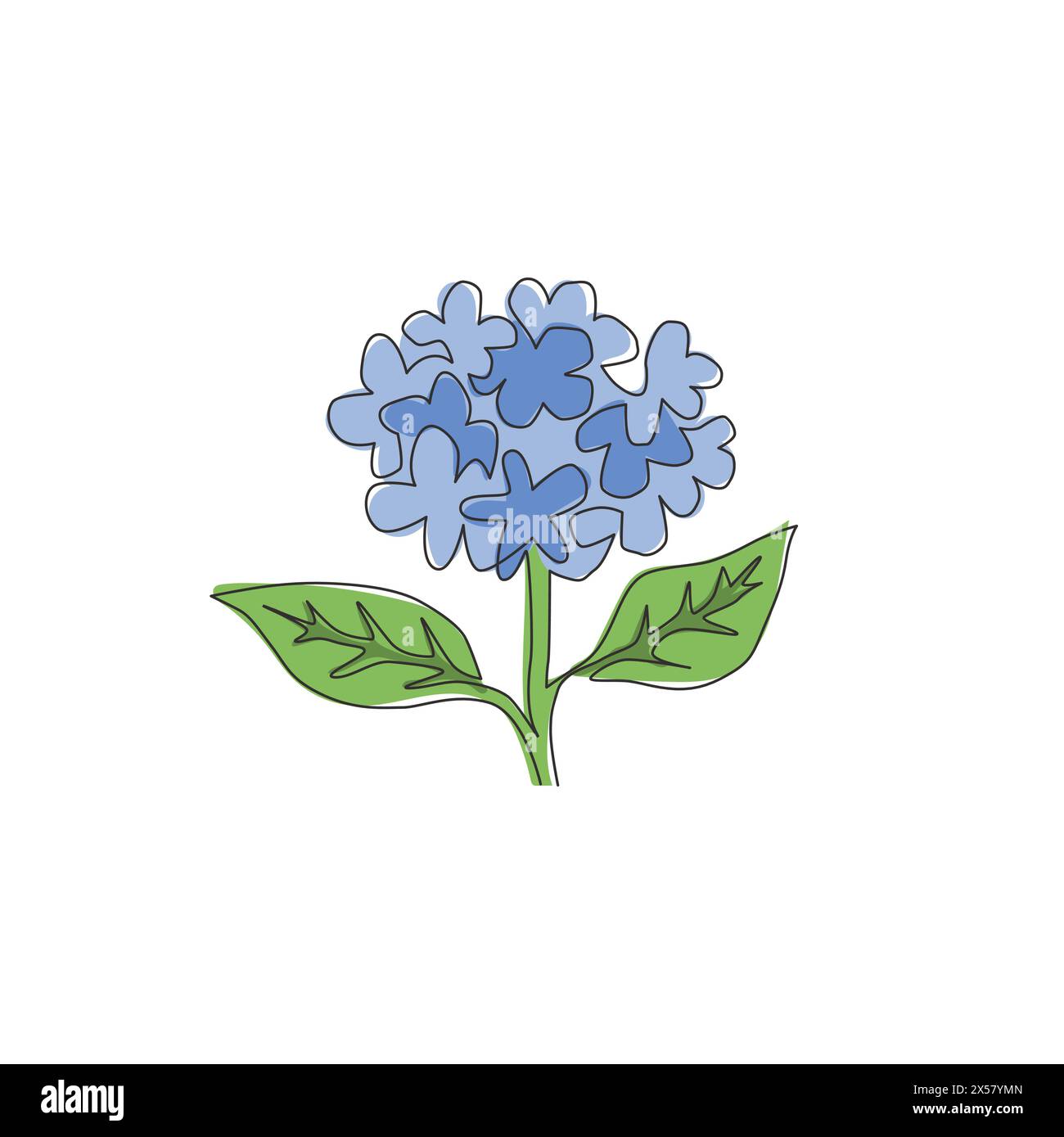 Simple dessin d'une ligne de beauté Fresh hortensia pour le logo de jardin. Concept décoratif de fleur d'hortensia pour décoration murale maison d'art poster imprimé. Moderne co Illustration de Vecteur