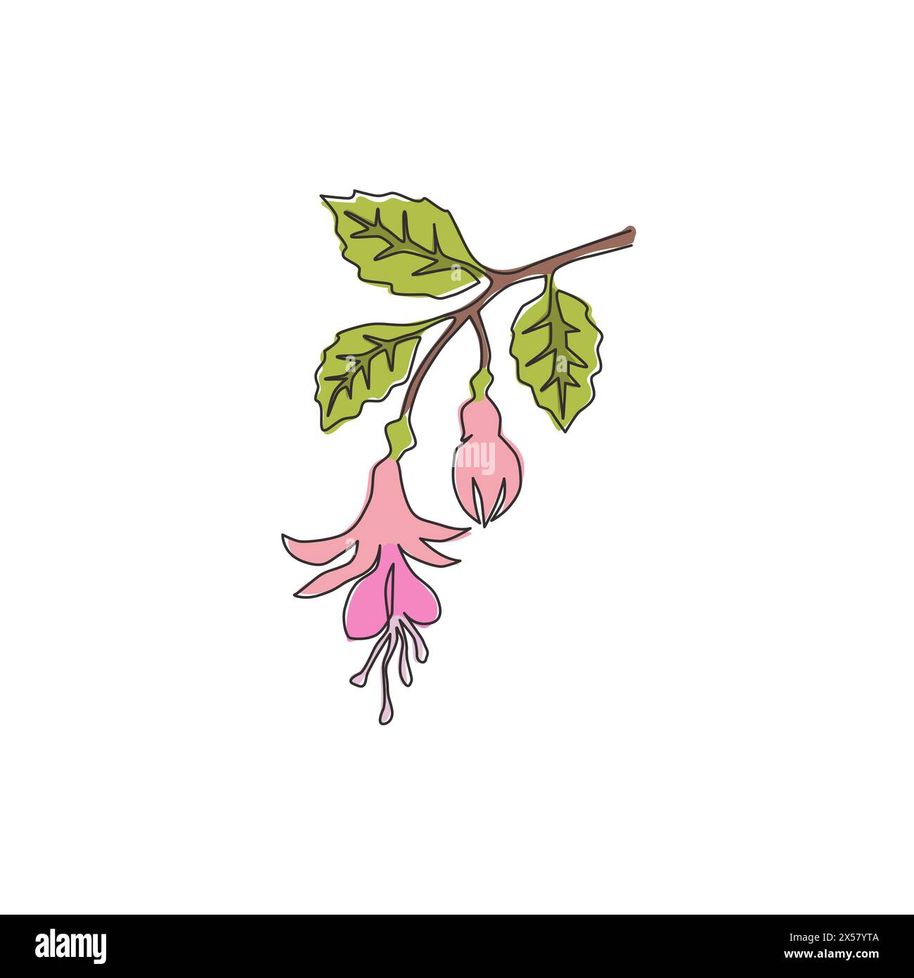 Dessin de ligne continue simple de fleur de fuchsia fraîche de beauté pour l'impression d'affiche d'art mural de décoration à la maison. Plante décorative d'arbustes pour carte d'invitation florale Illustration de Vecteur