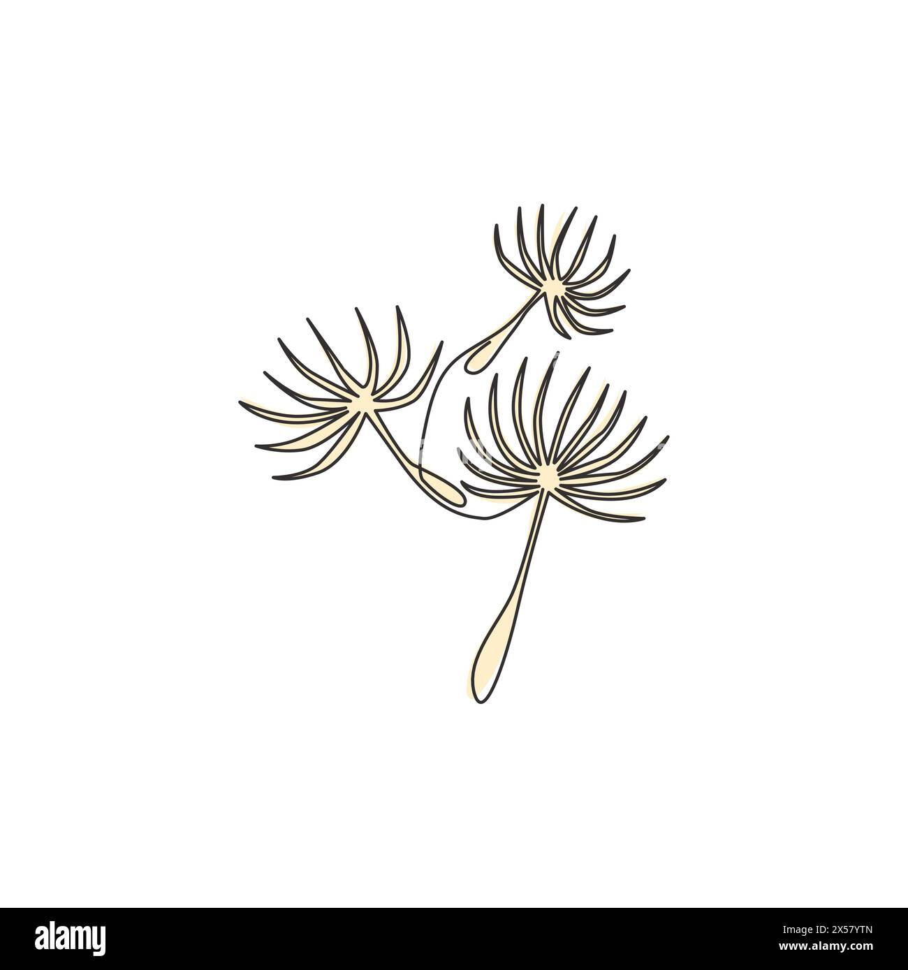 Un dessin en ligne continue de beauté Fresh taraxacum pour la décoration maison mur art imprimé poster. Concept de fleur de pissenlit décoratif imprimable pour la salutation Illustration de Vecteur
