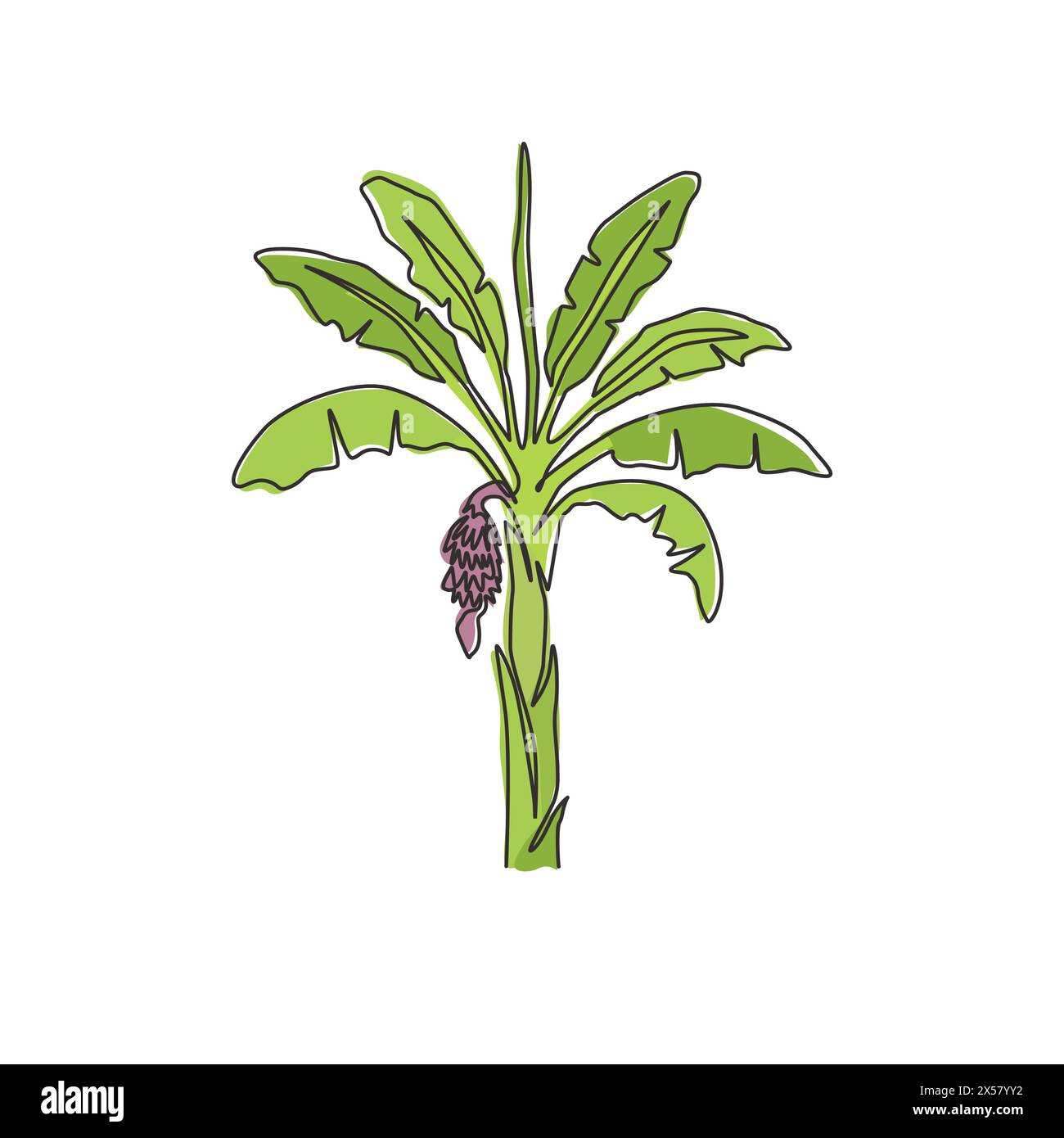 Simple une ligne dessinant un bananier fertile et frais. Banane décorative pour la société de plantation. Concept de culture agricole. Continue moderne Illustration de Vecteur