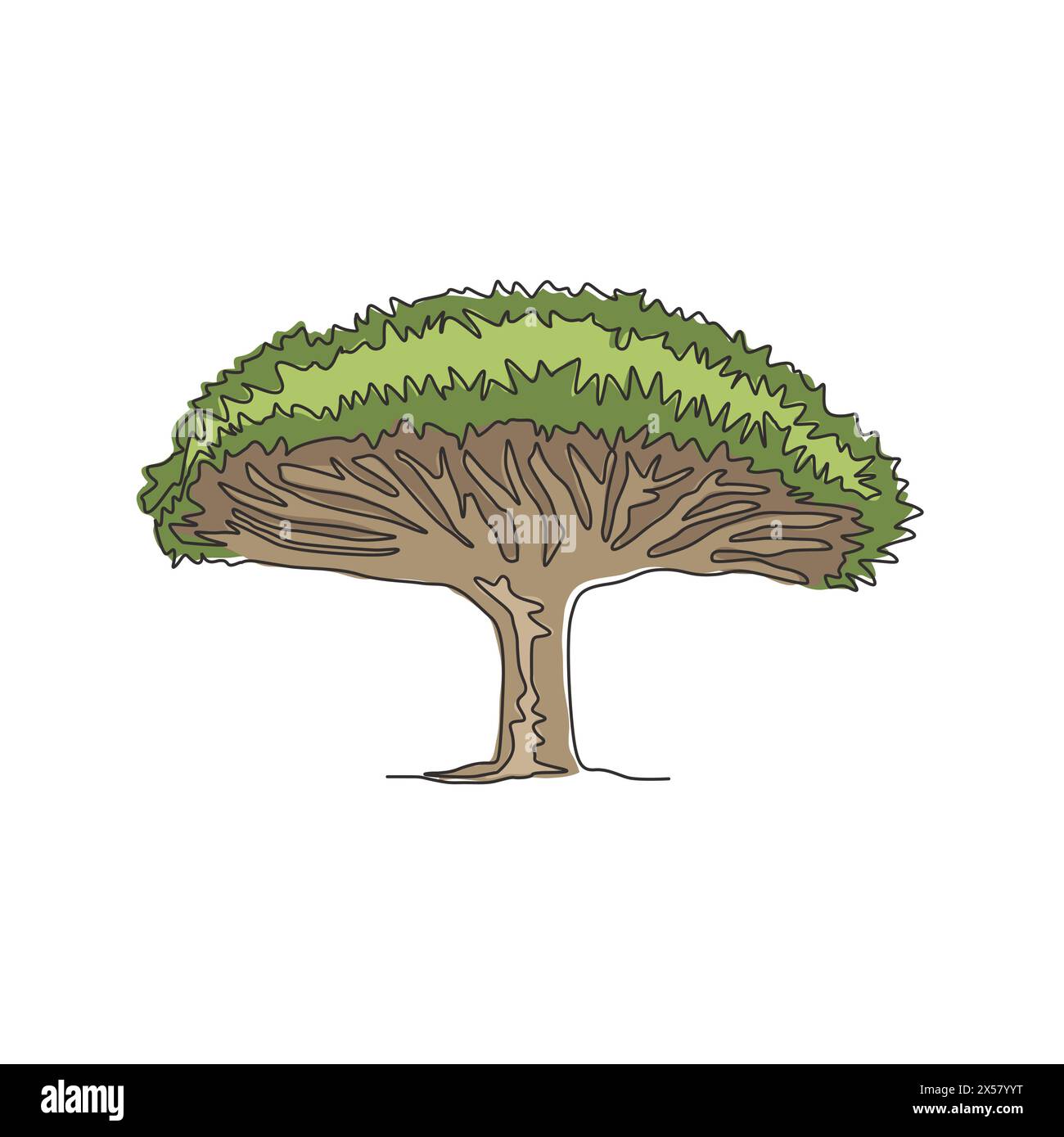 Une ligne continue dessinant un arbre de sang de dragon de beauté pour décoration murale impression d'affiche d'art maison. Arbre dragon socotra décoratif pour le logo du parc national. TREN Illustration de Vecteur