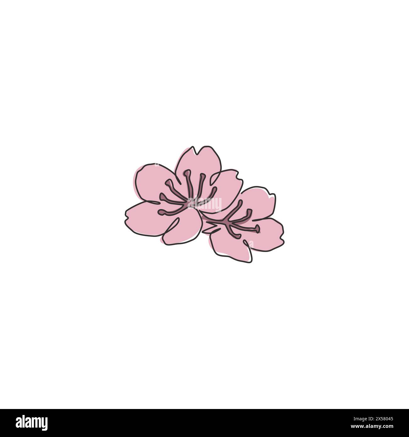 Dessin en ligne continue unique de fleurs de cerisier fraîches de beauté pour décoration maison impression d'affiche d'art mural. Fleur de sakura décorative imprimable pour saluer CA Illustration de Vecteur