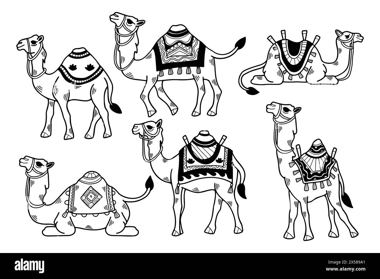 Un ensemble de dessins en noir et blanc de chameaux avec différentes couvertures colorées. Les chameaux sont tous de tailles différentes et sont assis ou debout dans divers Illustration de Vecteur