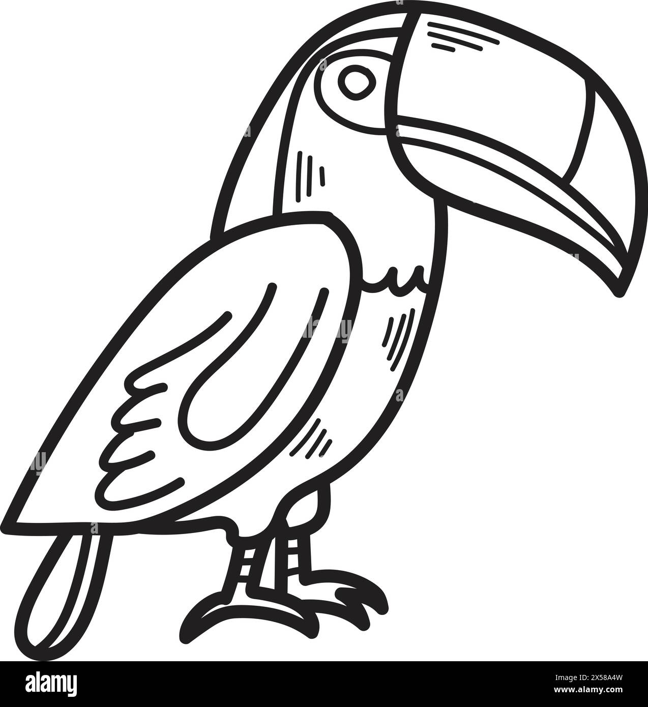 Dessin noir et blanc d'un oiseau avec un grand bec et une queue colorée. L'oiseau est debout sur une jambe et regarde la caméra Illustration de Vecteur