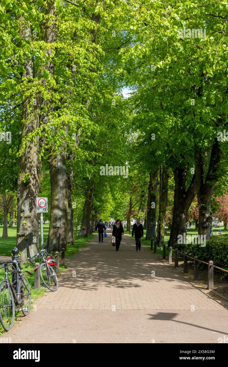 Les gens marchent sur un chemin bordée d'arbres dans un Christ's PIECES, un parc avec une végétation luxuriante et des vélos garés sur le côté. Cambridge, Angleterre, Royaume-Uni Banque D'Images