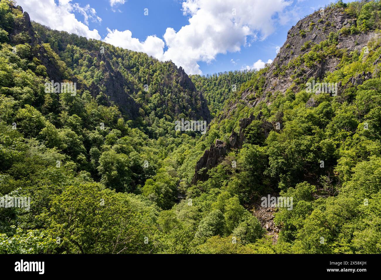 Bilder aus dem Bodetal Harz BEI Thale Banque D'Images