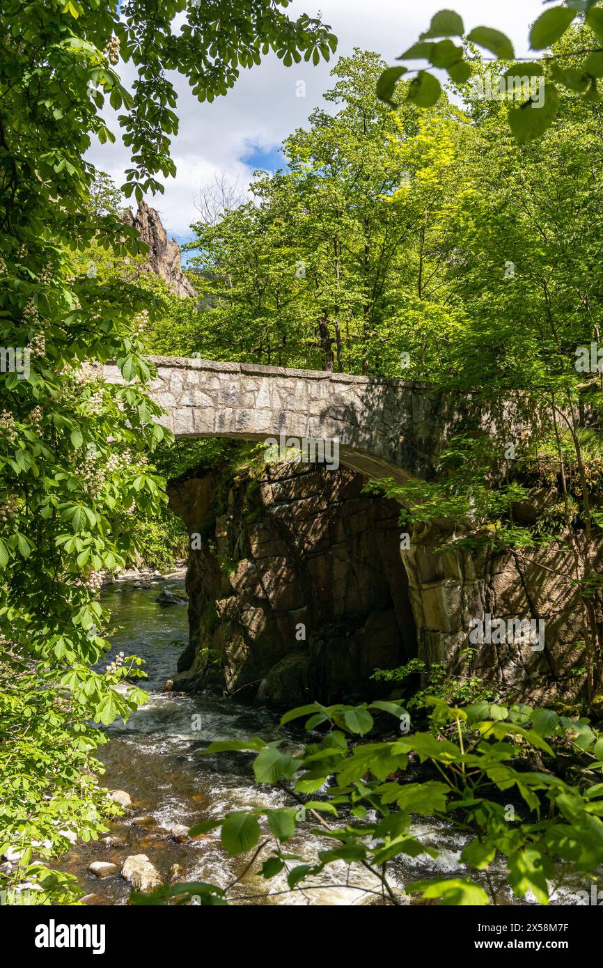 Bilder aus dem Bodetal Harz BEI Thale Banque D'Images