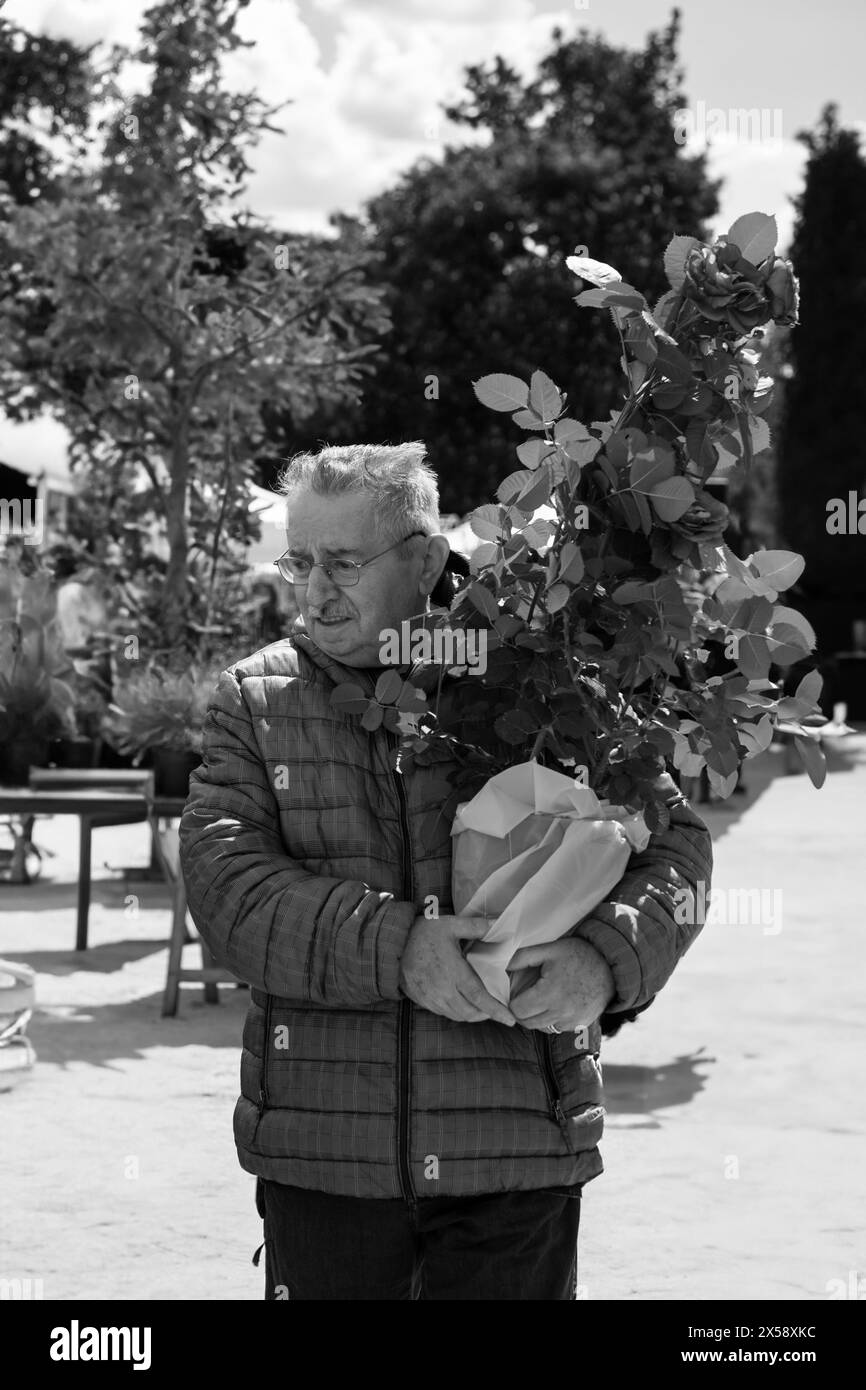 L'homme âgé transporte tendrement un vase de roses rouges à travers les rues de la ville Banque D'Images