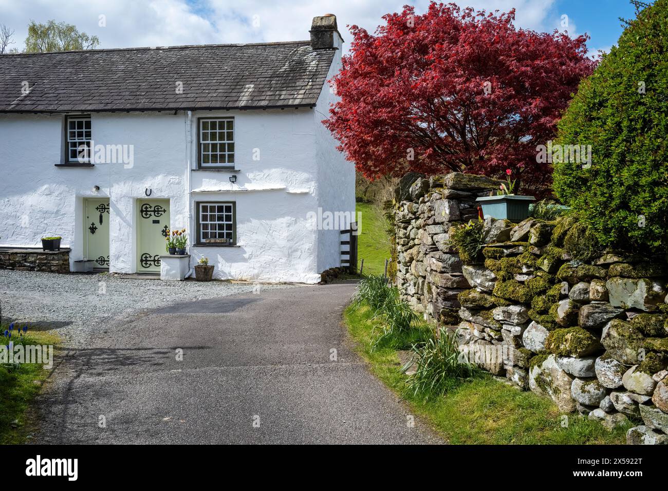 Cottages emblématiques blanchis à la chaux au-dessus d'Allan Bank, Grasmere, Lake District, Cumbria, Royaume-Uni Banque D'Images