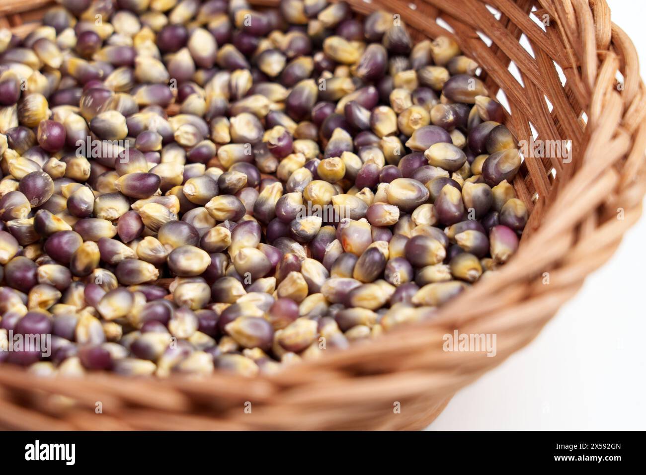 Grains de maïs bleu séchés biologiques dans un bol en bois de rotin de gros plan. Grains secs de maïs mexicain Hopi Banque D'Images
