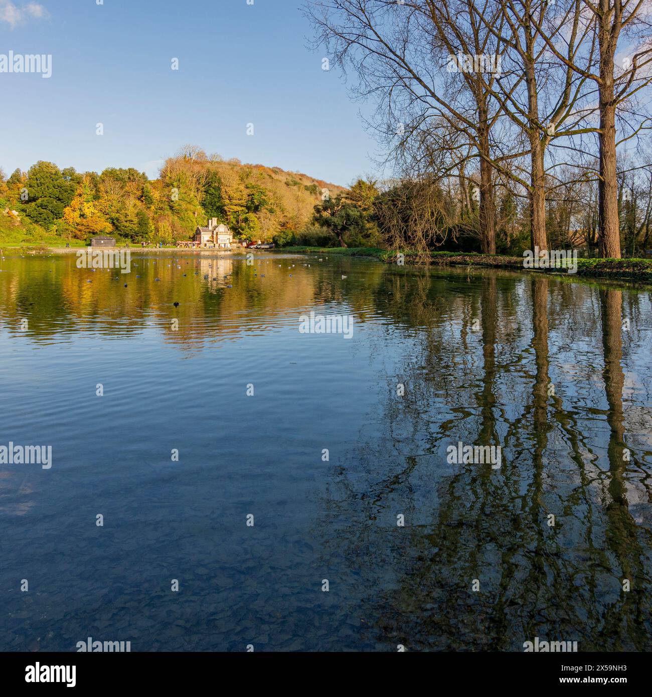 Swanbourne Lake avec salon de thé Swanbourne Lodge - Arundel, West Sussex, Royaume-Uni. Banque D'Images