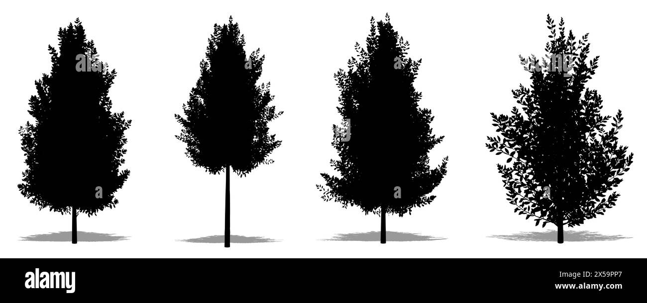 Ensemble ou collection de houx Eagleston Savannah comme une silhouette noire sur fond blanc. Concept ou illustration conceptuelle 3D pour la nature, avion Banque D'Images