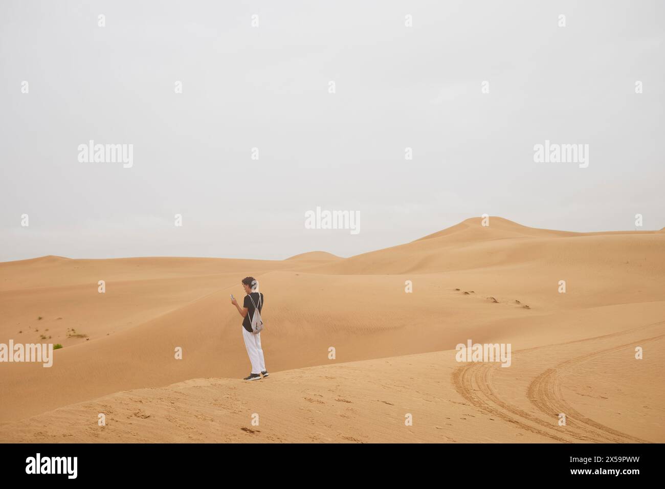 Desert Rub' al Khali aux Émirats arabes Unis Banque D'Images