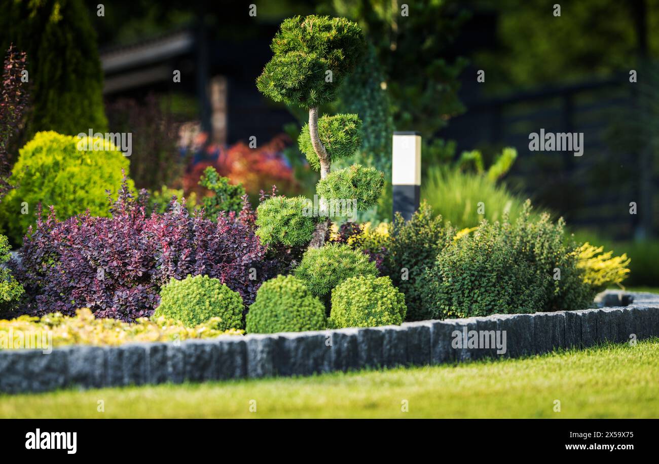 Pittoresque jardin de rocaille résidentiel avec une variété de plantes décoratives Banque D'Images