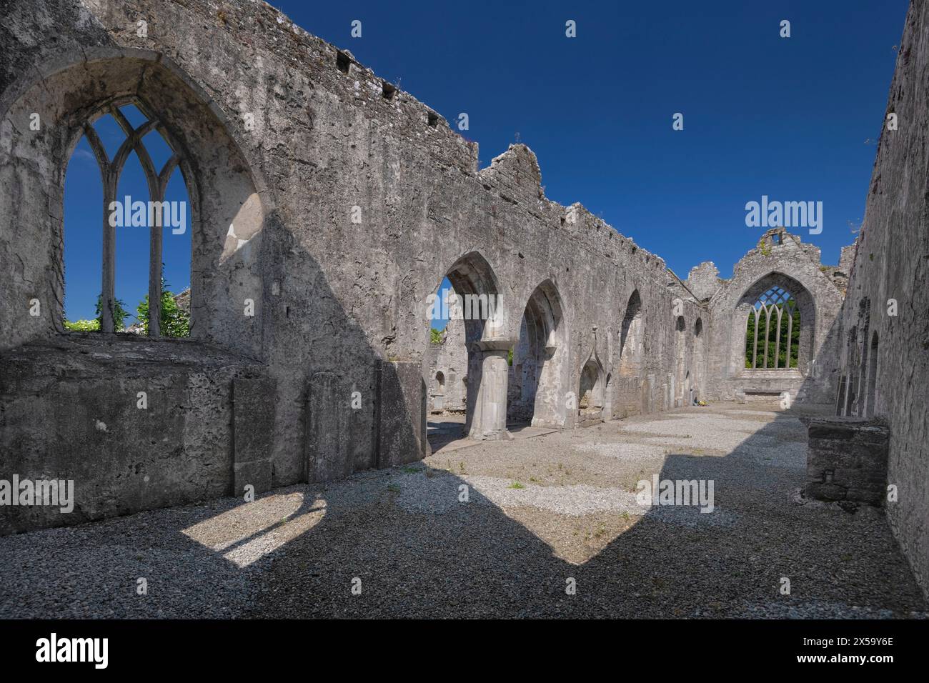 République d'Irlande, comté de Limerick, Askeaton, Fraternité franciscaine du XIVe siècle, nef. Banque D'Images