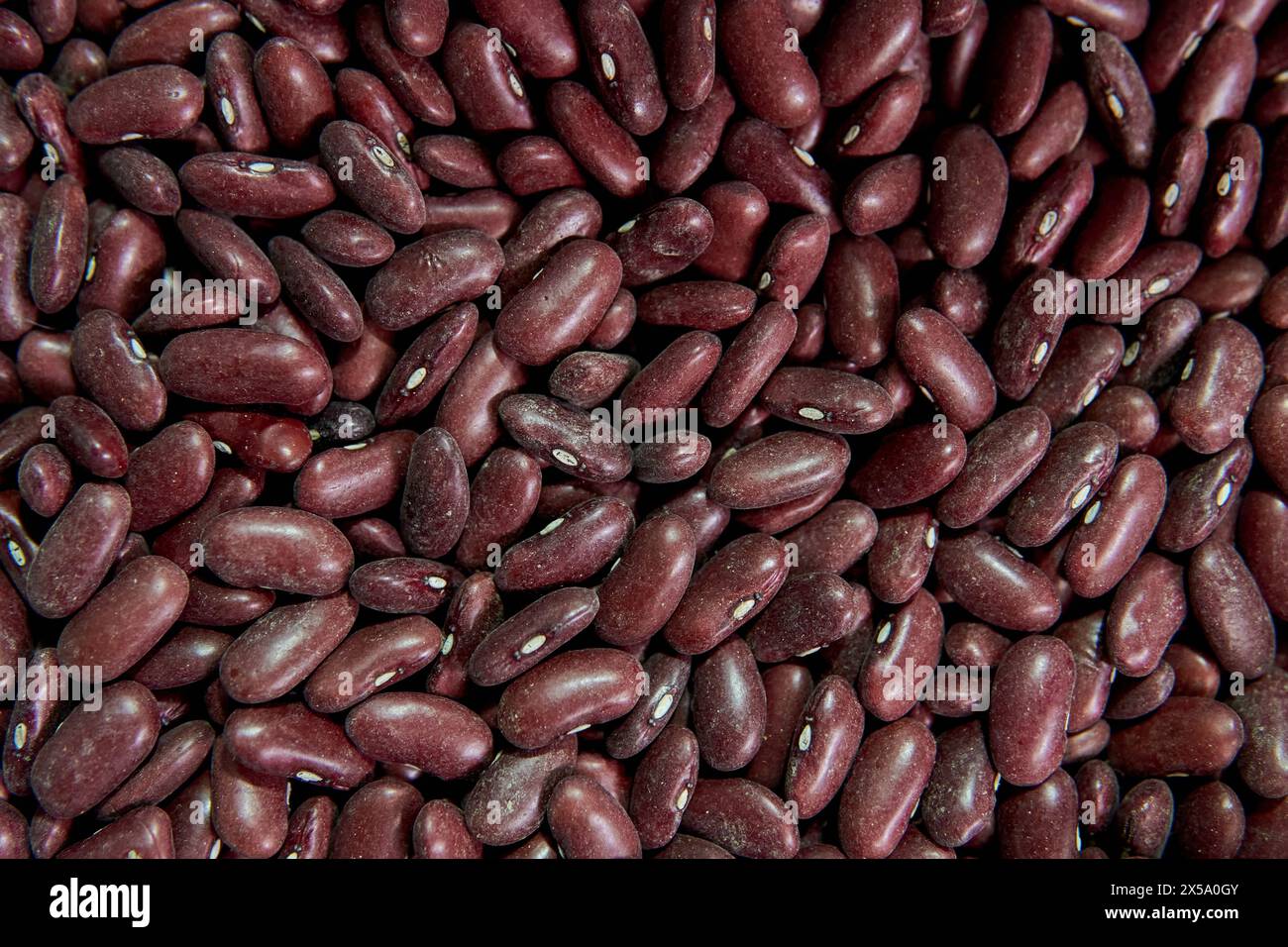 Gros plan d'une pile de haricots rouges ou de haricots rouges à vendre sur un marché en Argentine. Banque D'Images